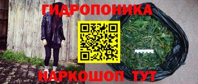 амф Рыбинск