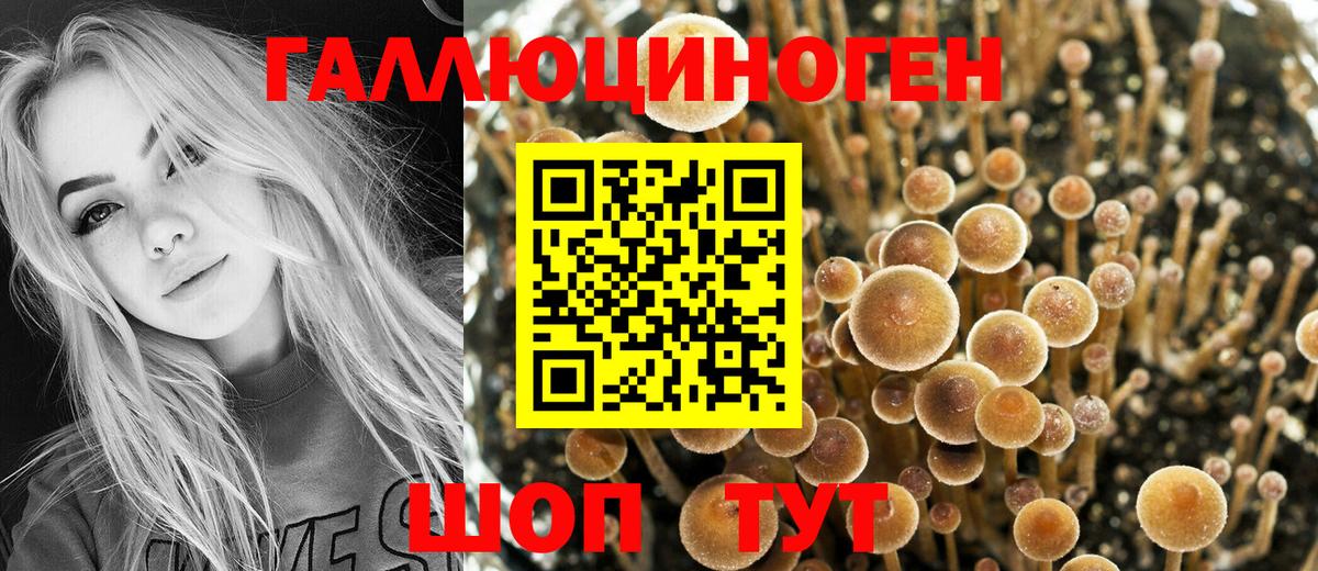 Галлюциногенные грибы Psilocybine cubensis  Галлюциногенные грибы Magic Shrooms  Ростов Великий  Вход с VPN 