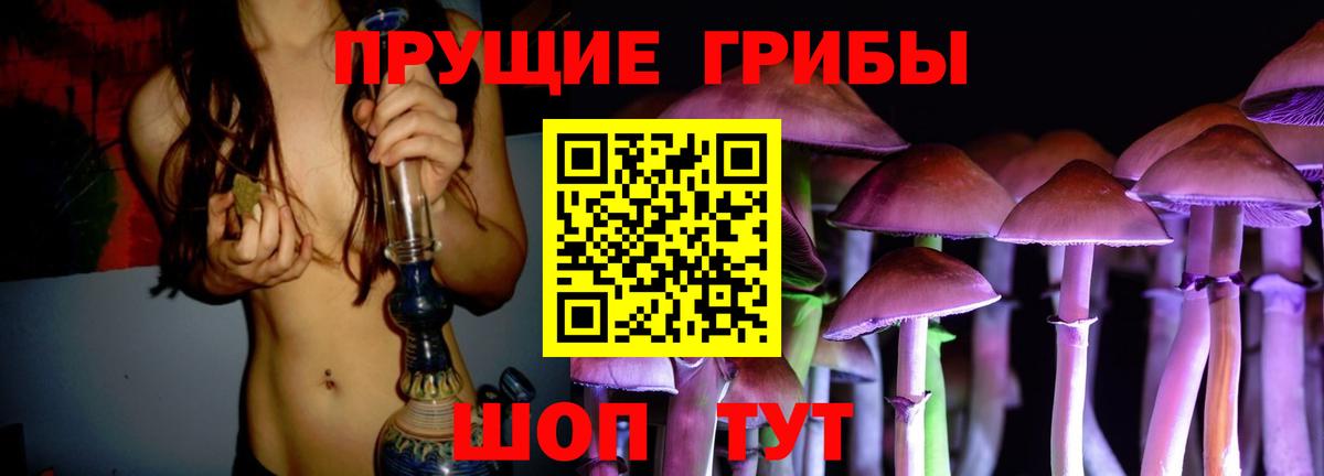 Галлюциногенные грибы Psilocybine cubensis Ростов Великий
